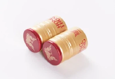 Kosten und Effizienz in Einklang bringen: Wie Kosten und Effizienz in Einklan...